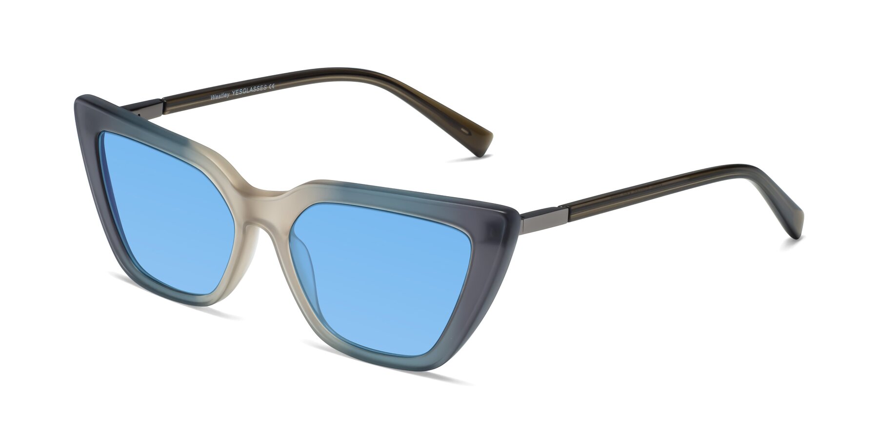 Angle of Westley in Gradient Grey with Medium Blue Tinted Lenses