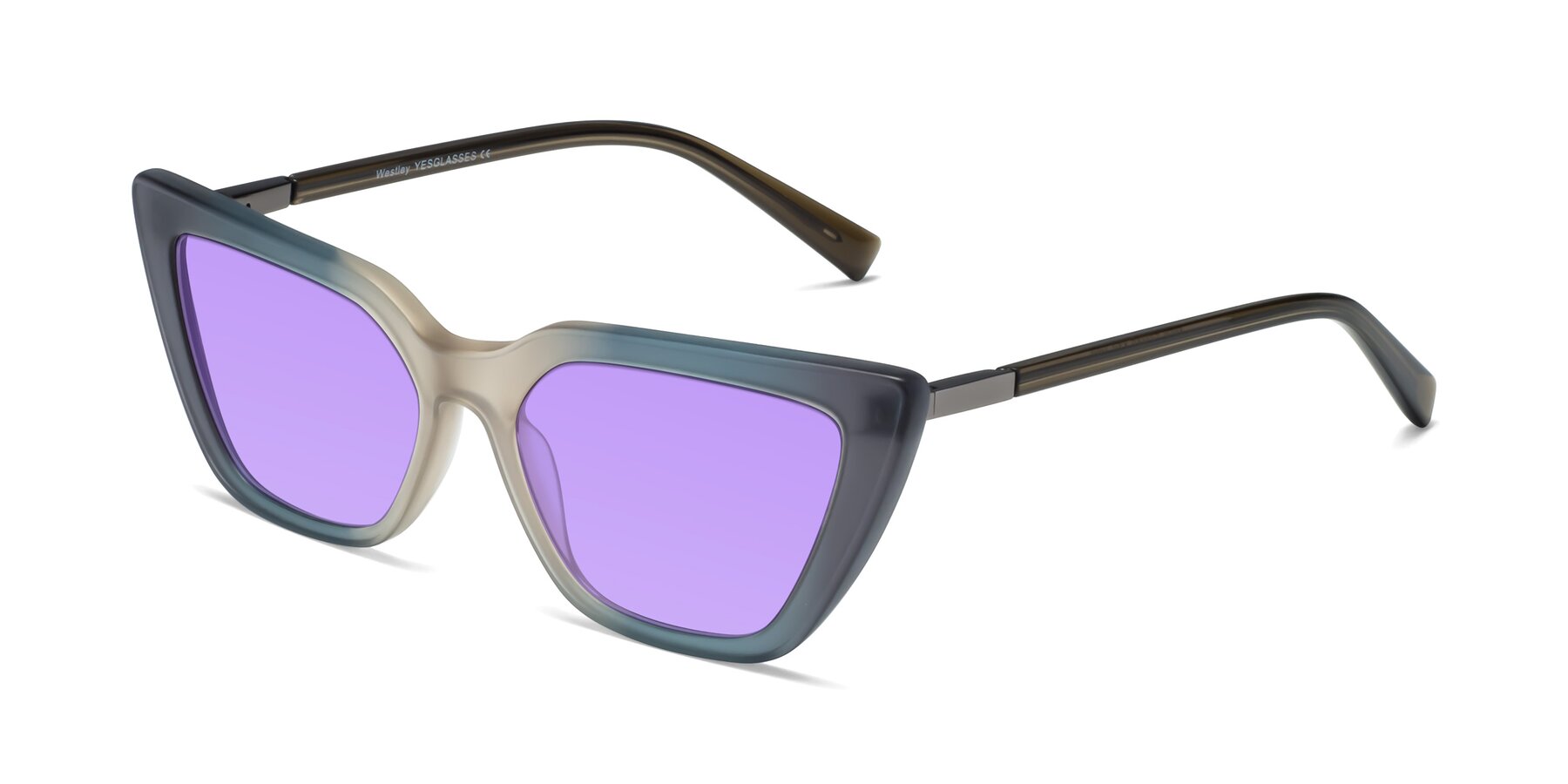 Angle of Westley in Gradient Grey with Medium Purple Tinted Lenses