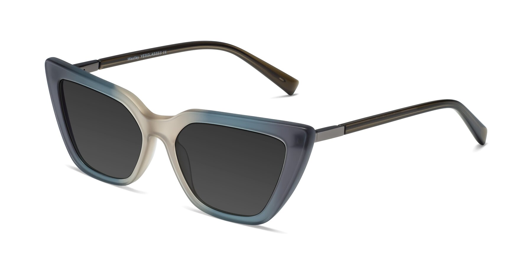 Angle of Westley in Gradient Grey with Gray Tinted Lenses
