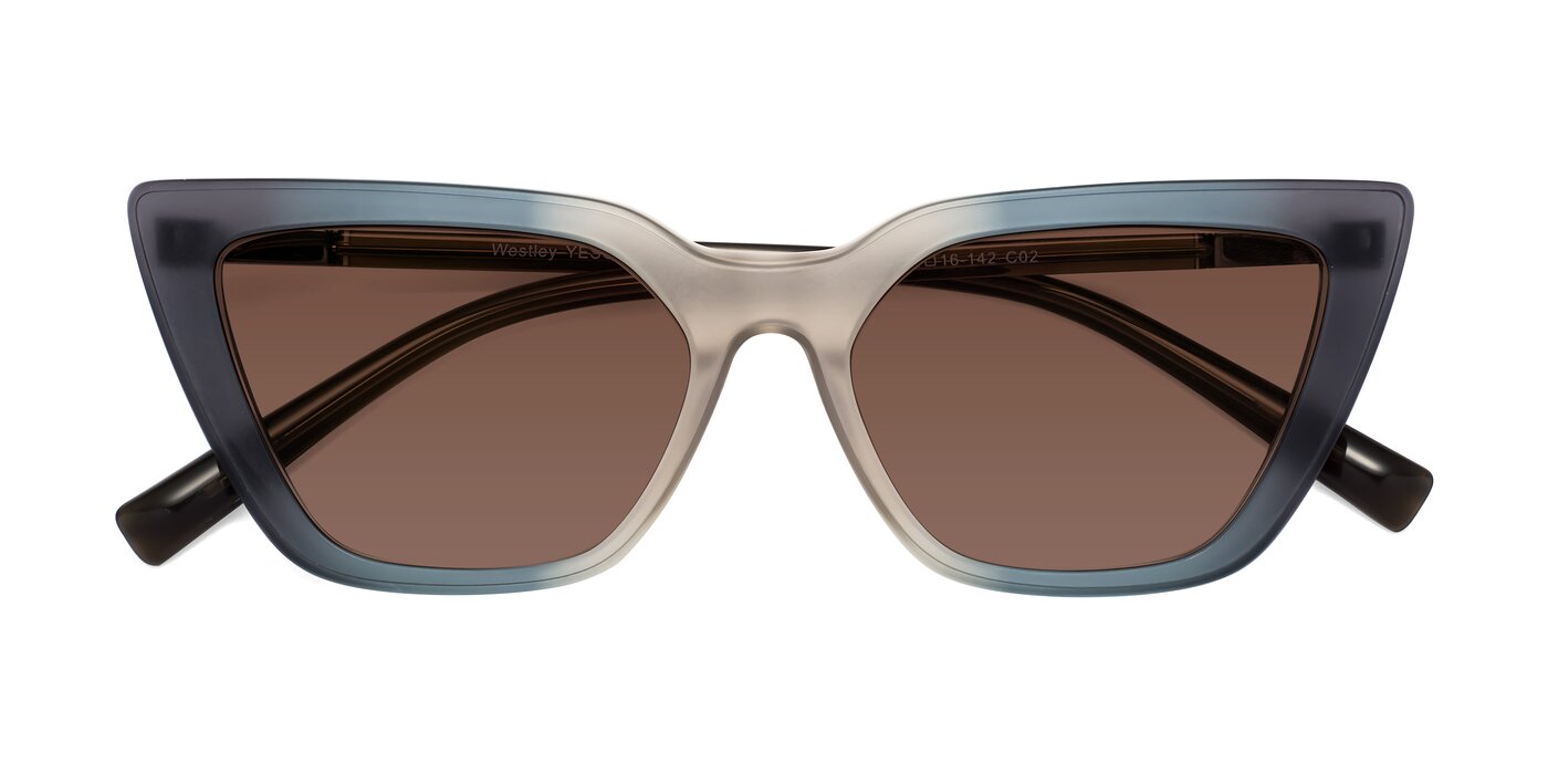 Westley - Gradient Grey Tinted Sunglasses