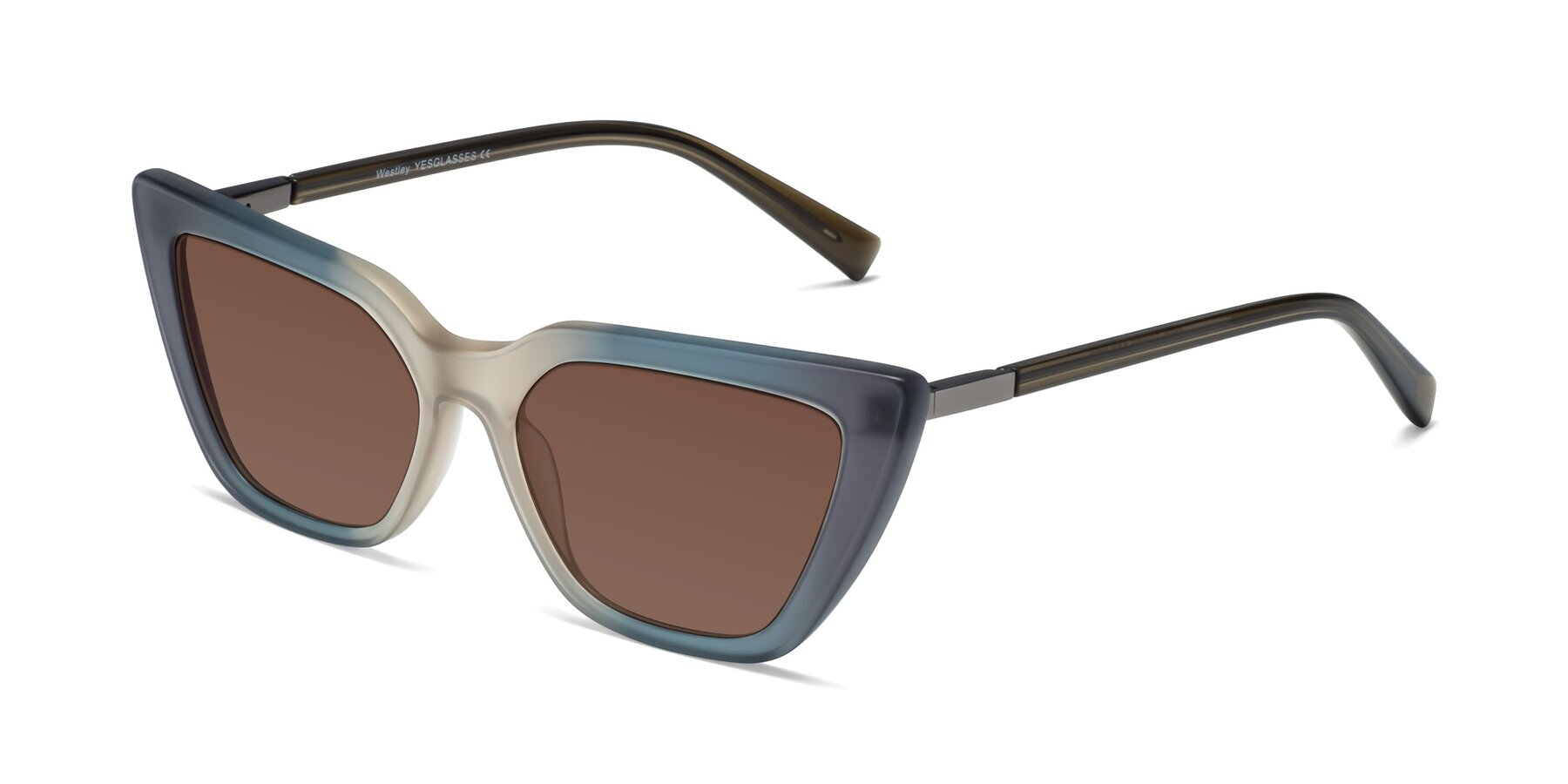 Angle of Westley in Gradient Grey with Brown Tinted Lenses