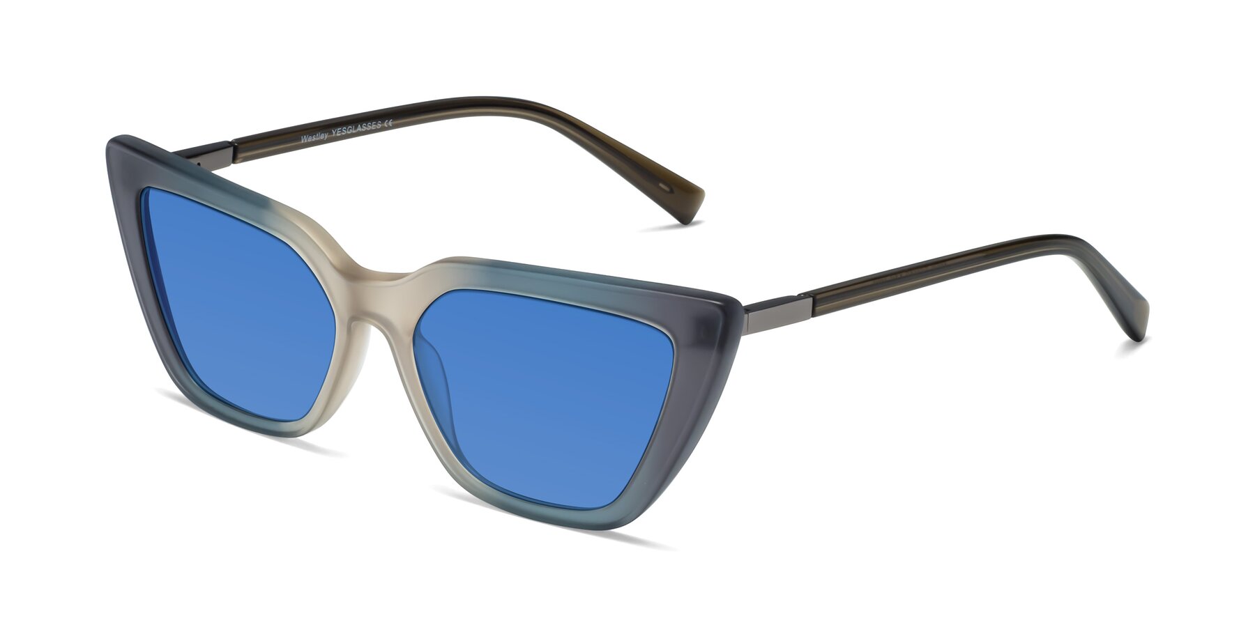 Angle of Westley in Gradient Grey with Blue Tinted Lenses