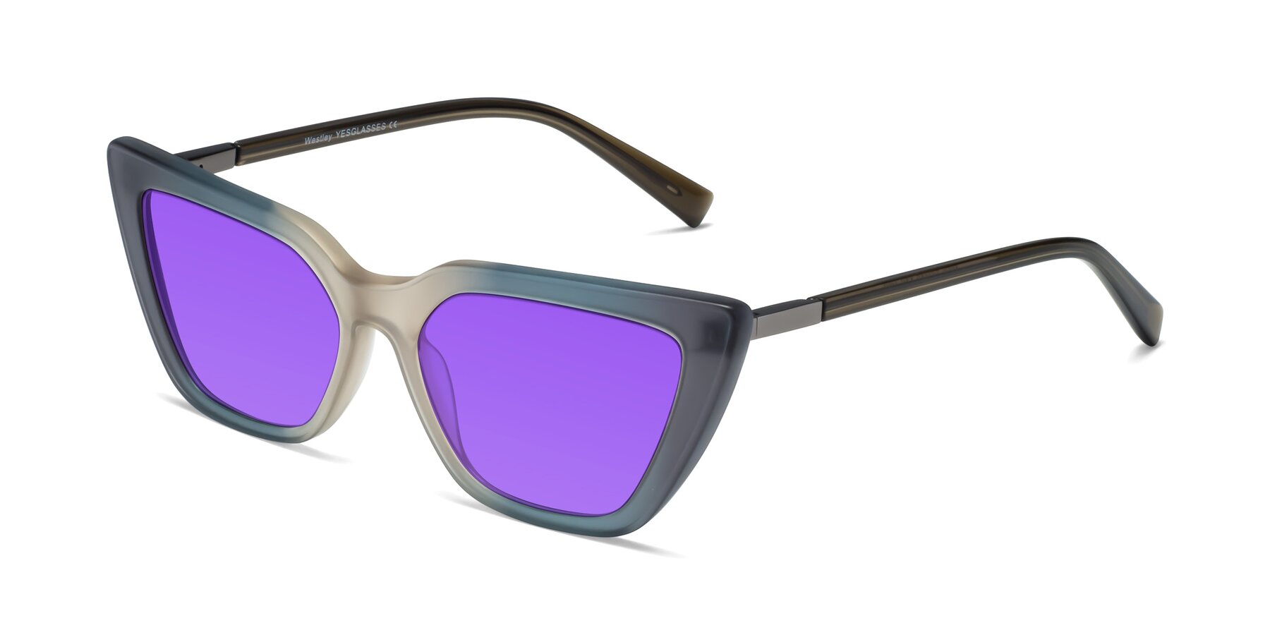 Angle of Westley in Gradient Grey with Purple Tinted Lenses