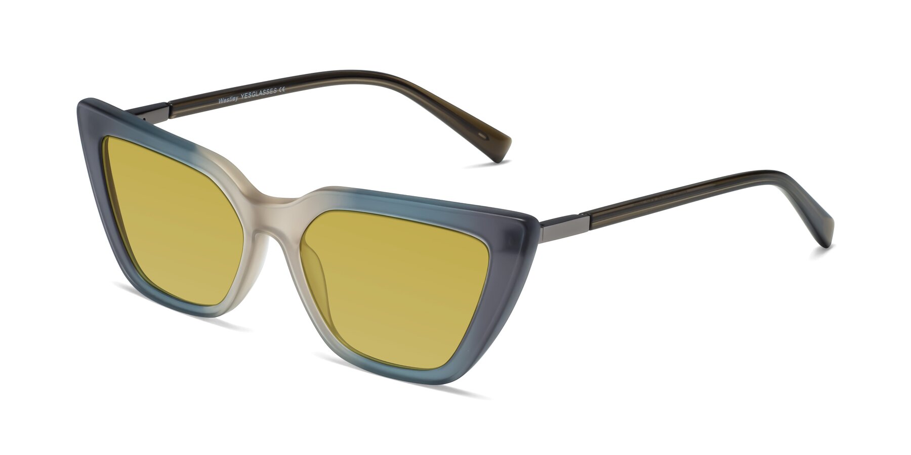 Angle of Westley in Gradient Grey with Champagne Tinted Lenses