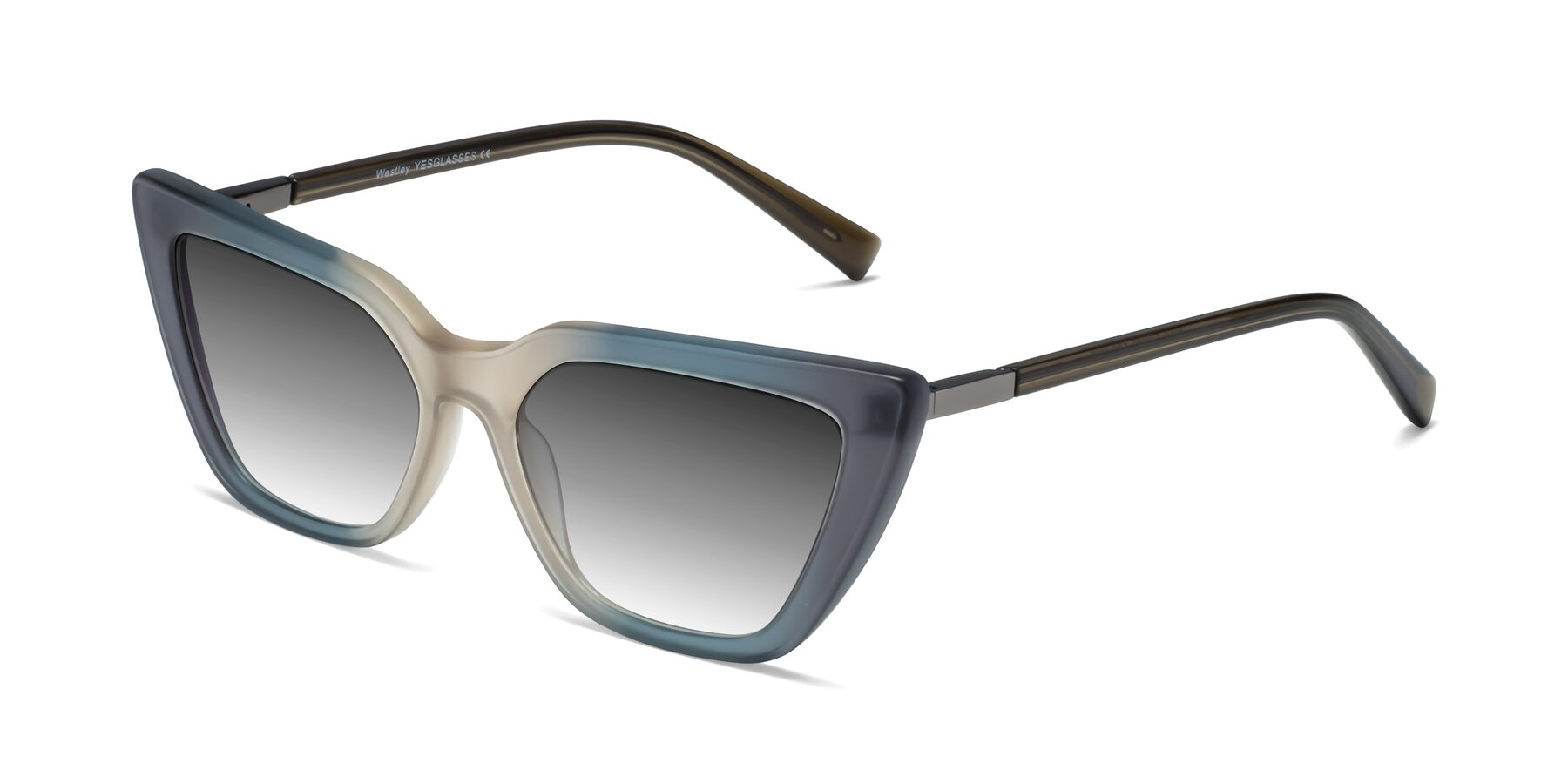 Angle of Westley in Gradient Grey with Gray Gradient Lenses