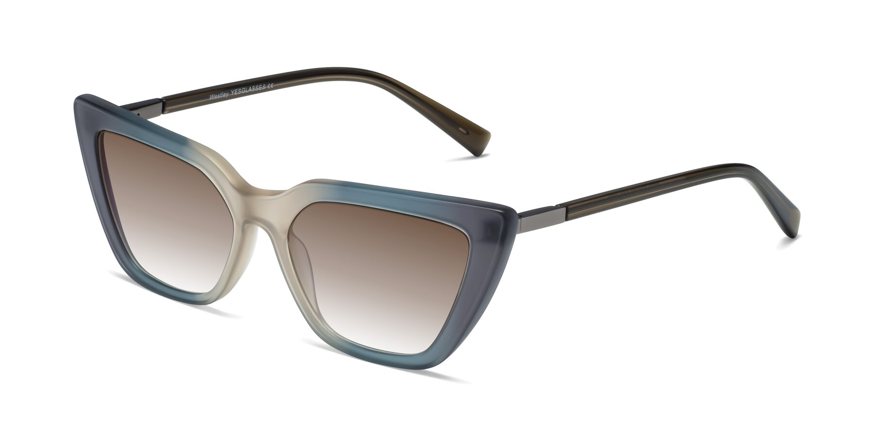 Angle of Westley in Gradient Grey with Brown Gradient Lenses