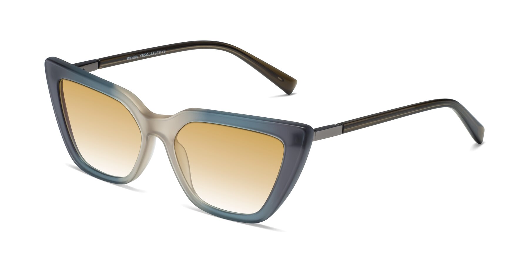 Angle of Westley in Gradient Grey with Champagne Gradient Lenses