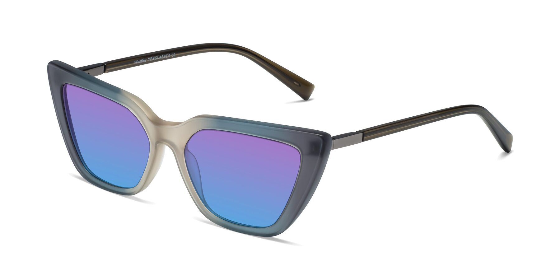 Angle of Westley in Gradient Grey with Purple / Blue Gradient Lenses