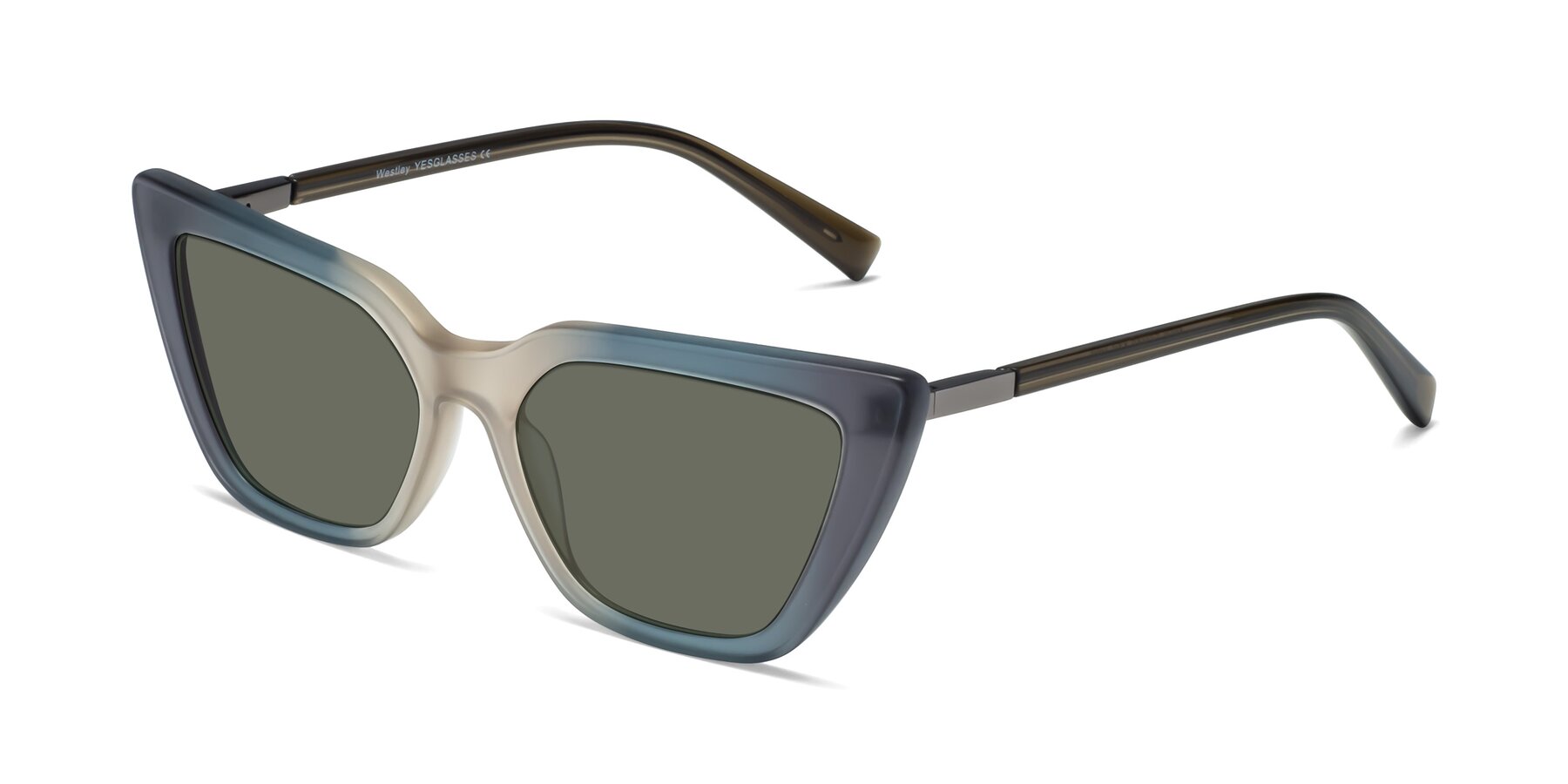 Angle of Westley in Gradient Grey with Gray Polarized Lenses