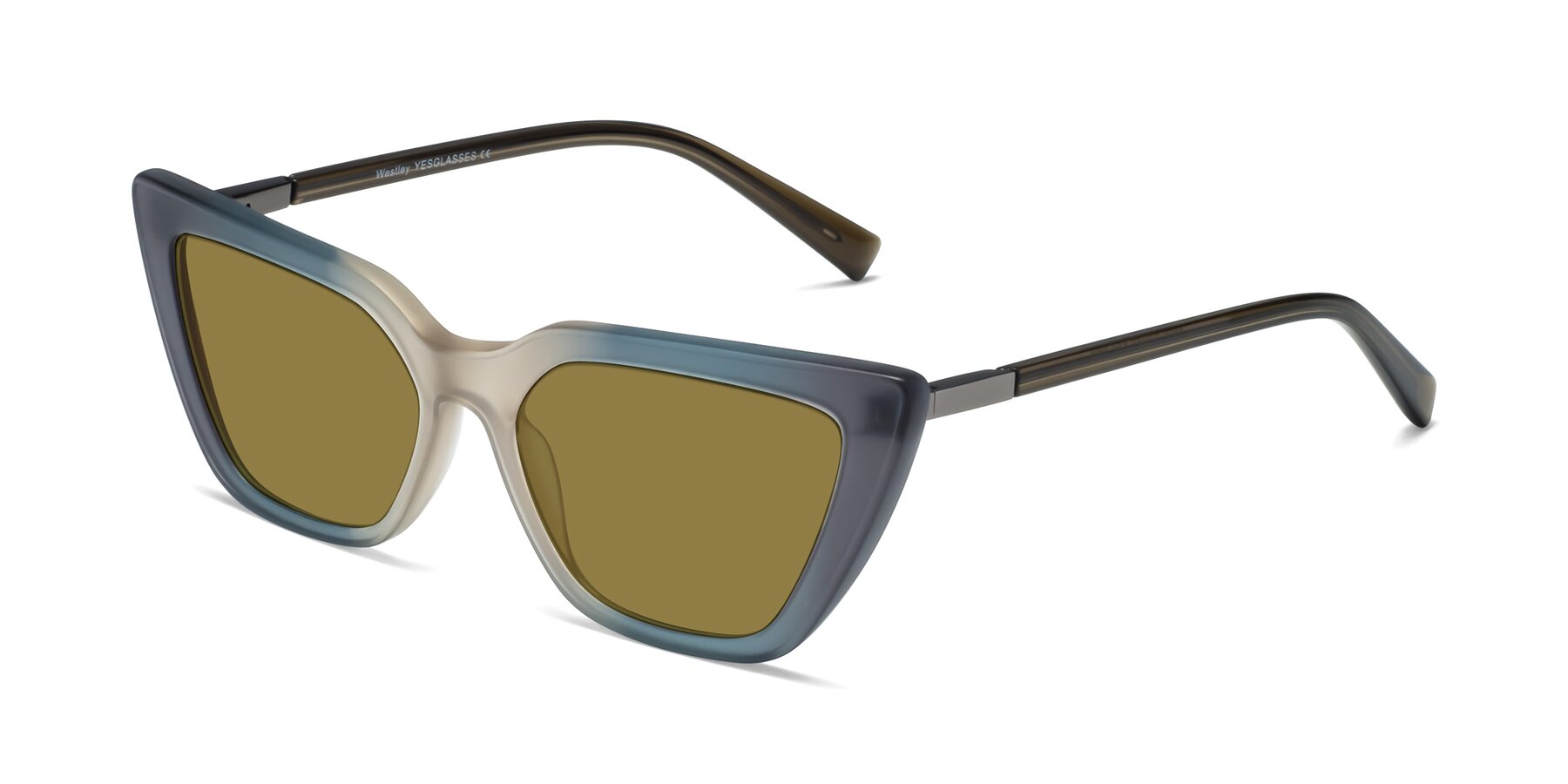 Angle of Westley in Gradient Grey with Brown Polarized Lenses