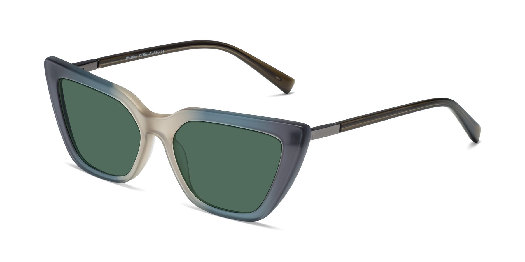 Angle of Westley in Gradient Grey with Green Polarized Lenses