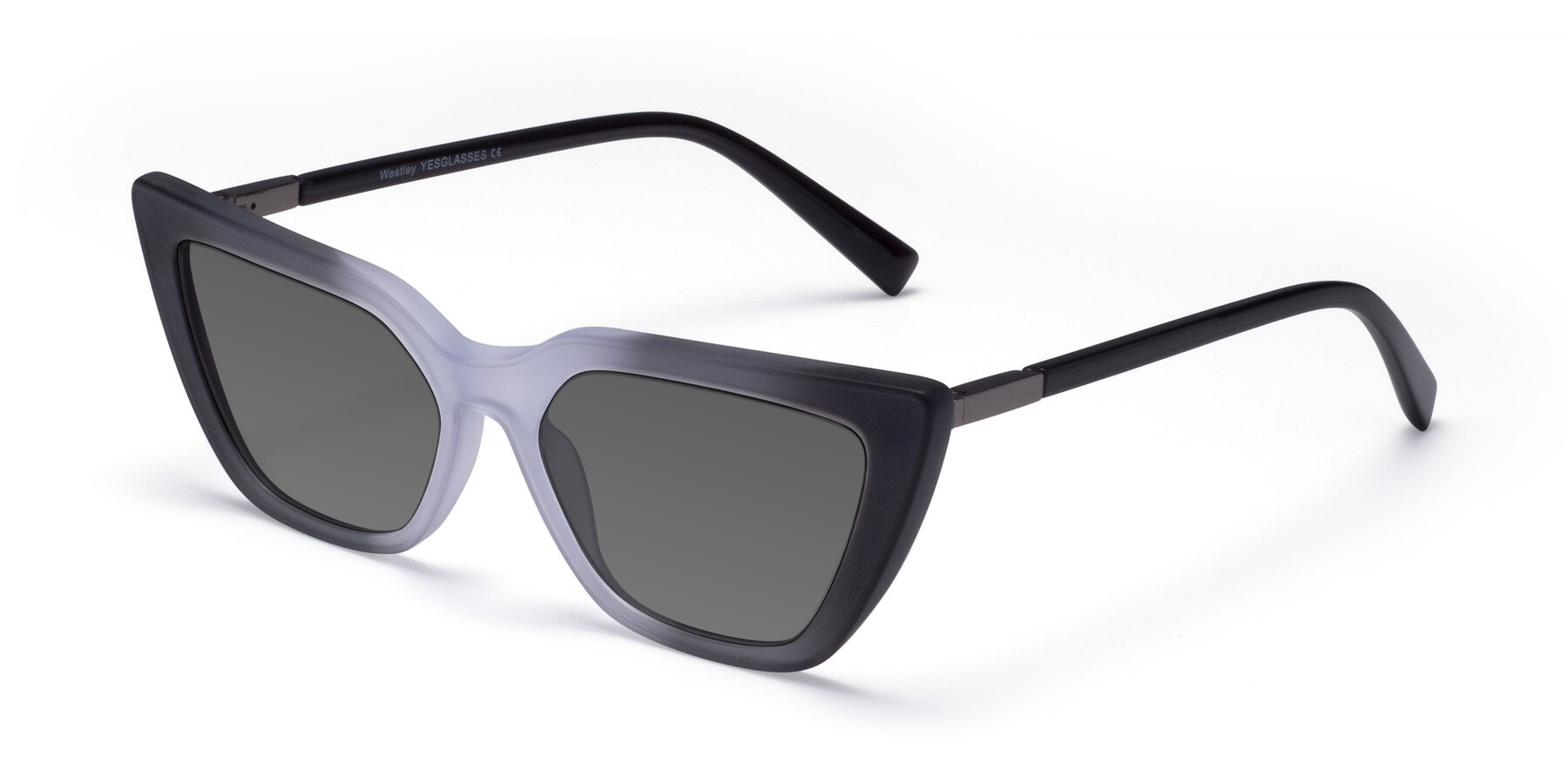 Angle of Westley in Gradient Black with Medium Gray Tinted Lenses