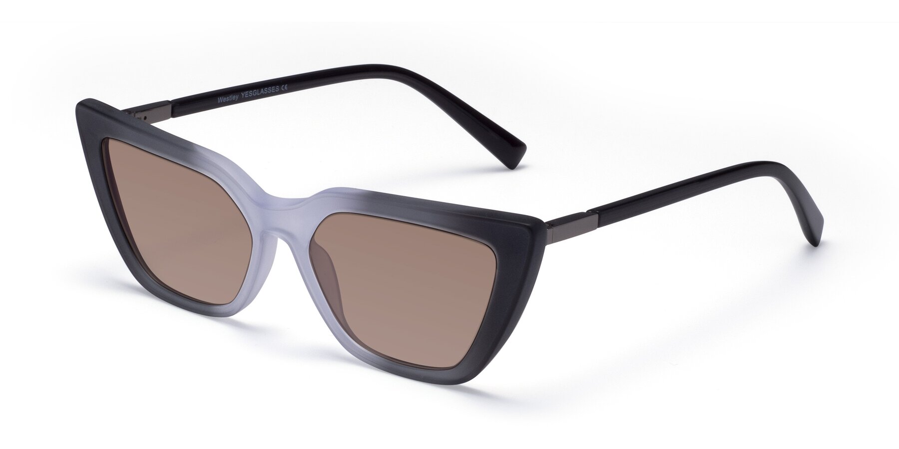 Angle of Westley in Gradient Black with Medium Brown Tinted Lenses