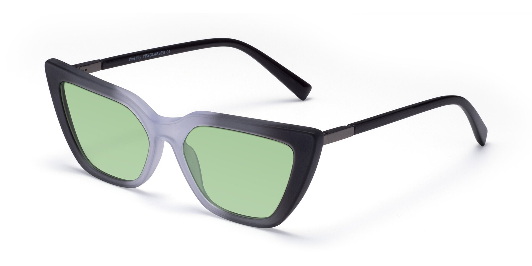 Angle of Westley in Gradient Black with Medium Green Tinted Lenses