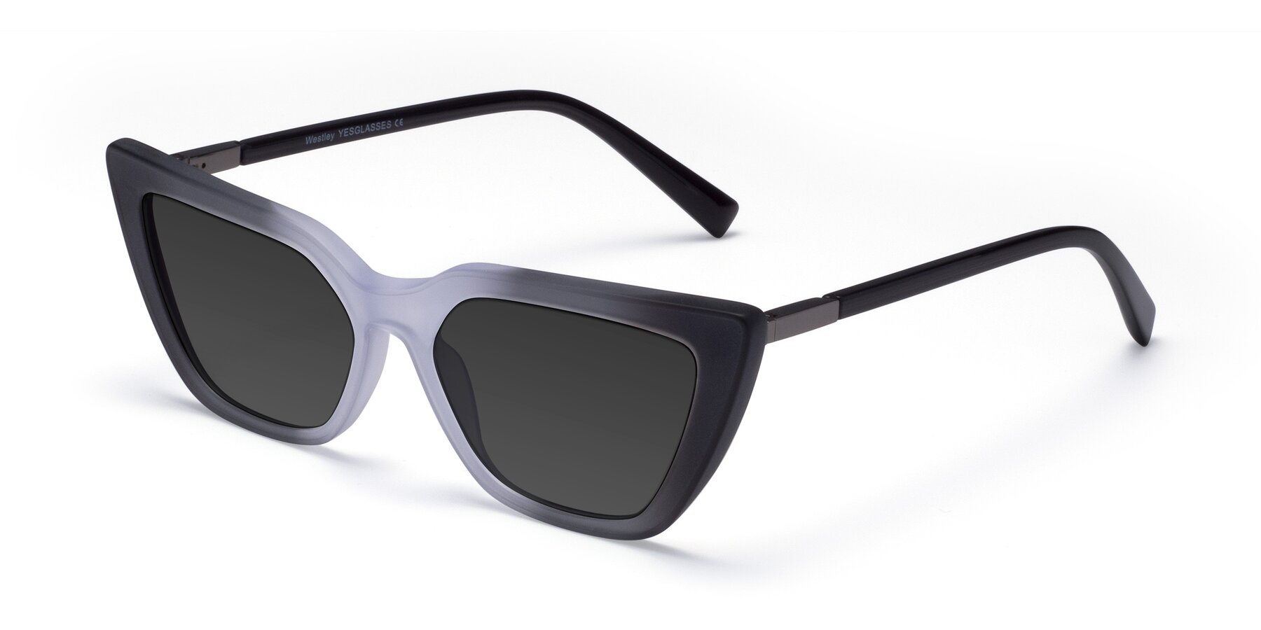 Angle of Westley in Gradient Black with Gray Tinted Lenses