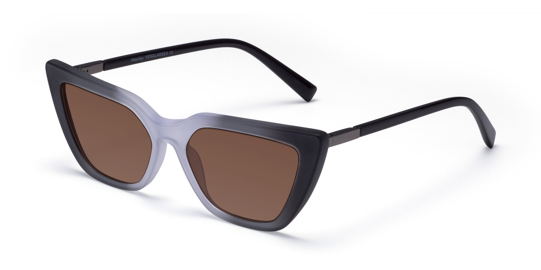 Angle of Westley in Gradient Black with Brown Tinted Lenses