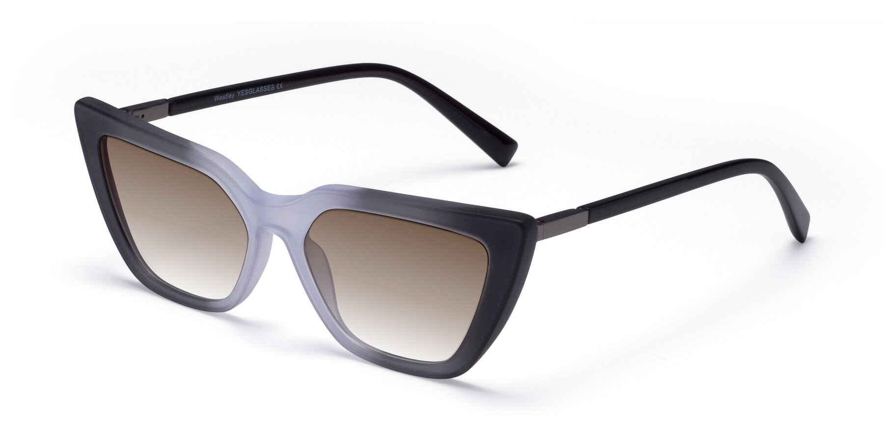 Angle of Westley in Gradient Black with Brown Gradient Lenses