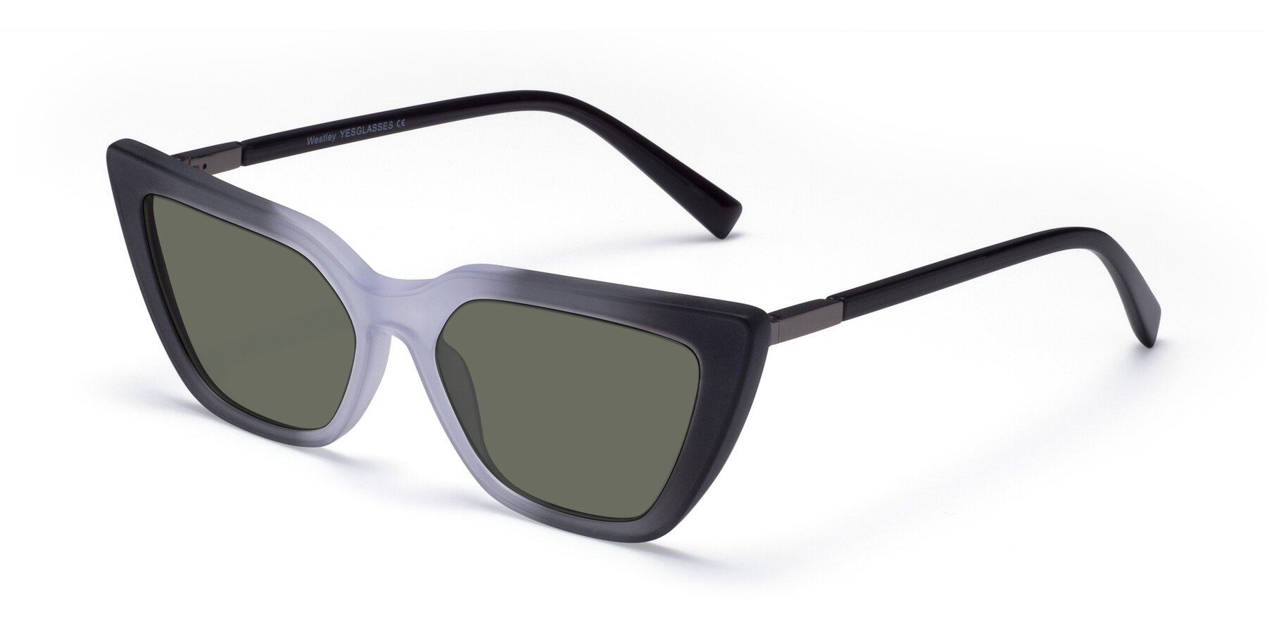 Angle of Westley in Gradient Black with Gray Polarized Lenses