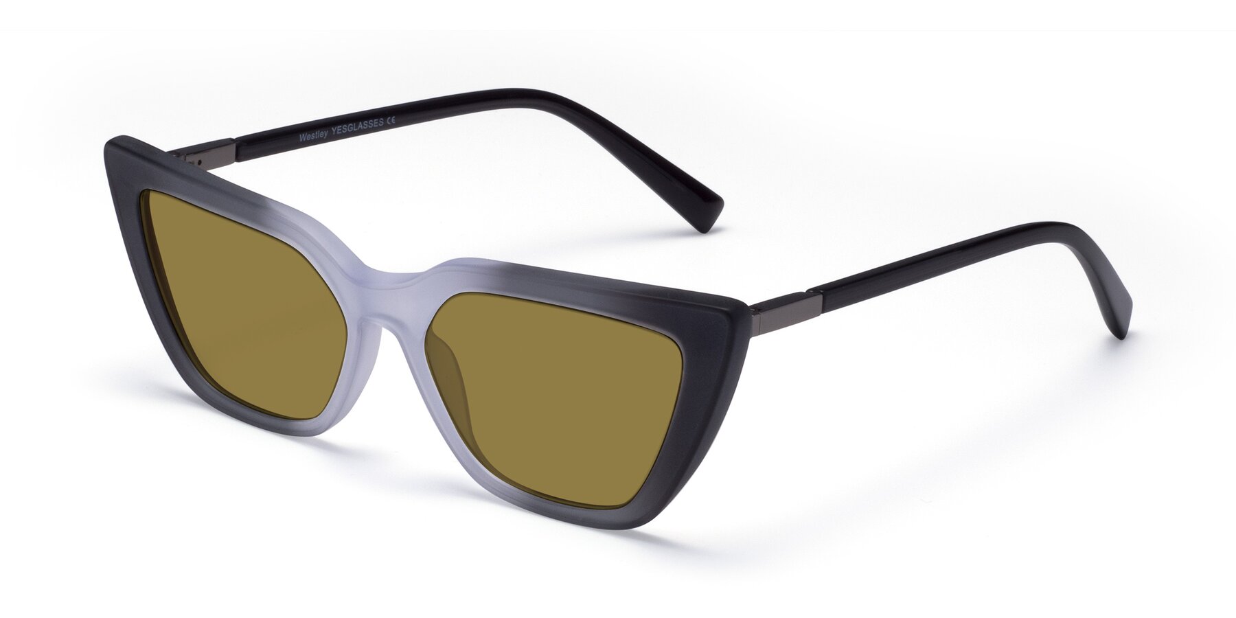 Angle of Westley in Gradient Black with Brown Polarized Lenses