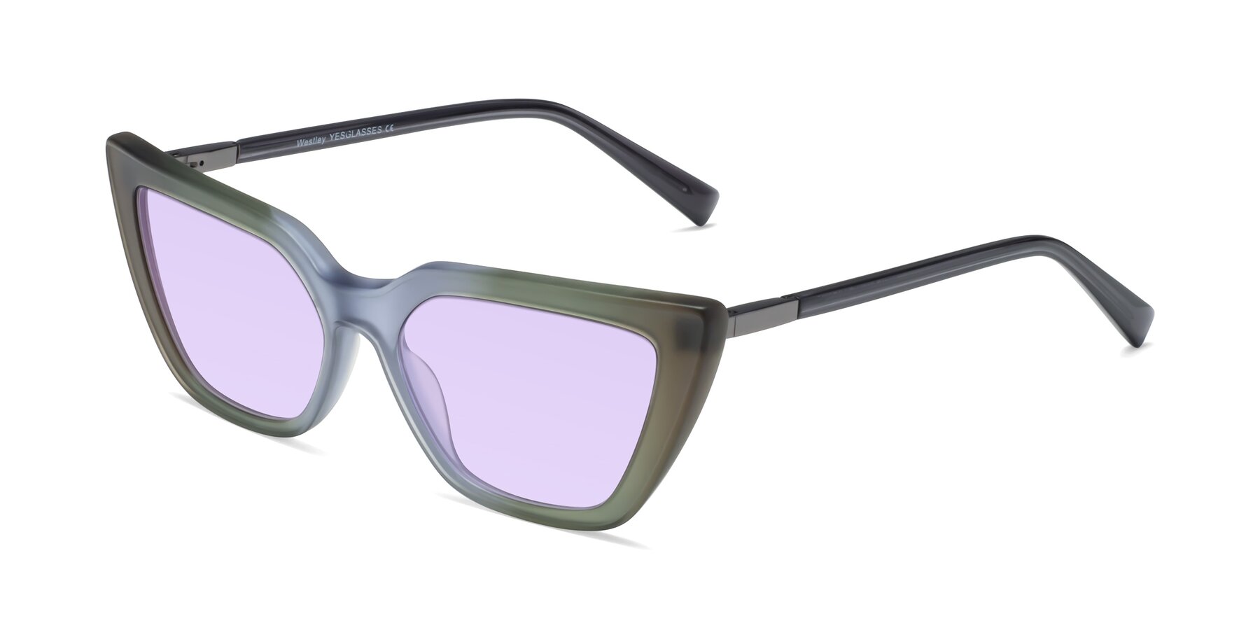 Angle of Westley in Gradient Green with Light Purple Tinted Lenses