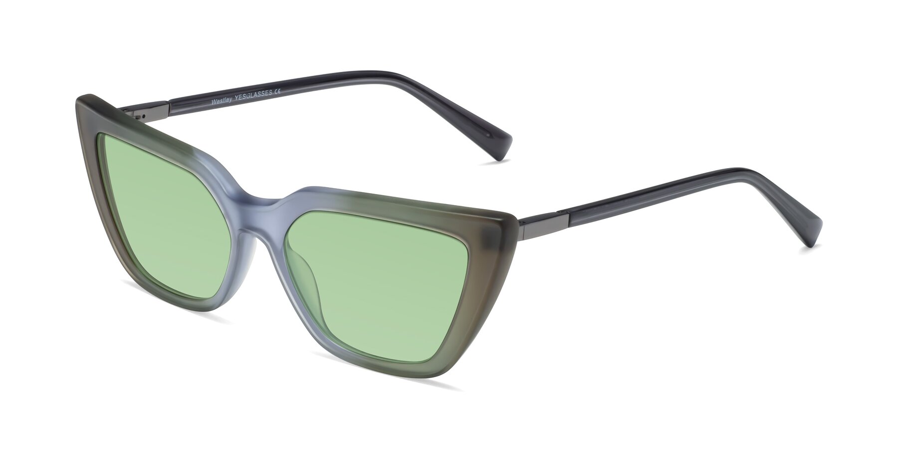 Angle of Westley in Gradient Green with Medium Green Tinted Lenses