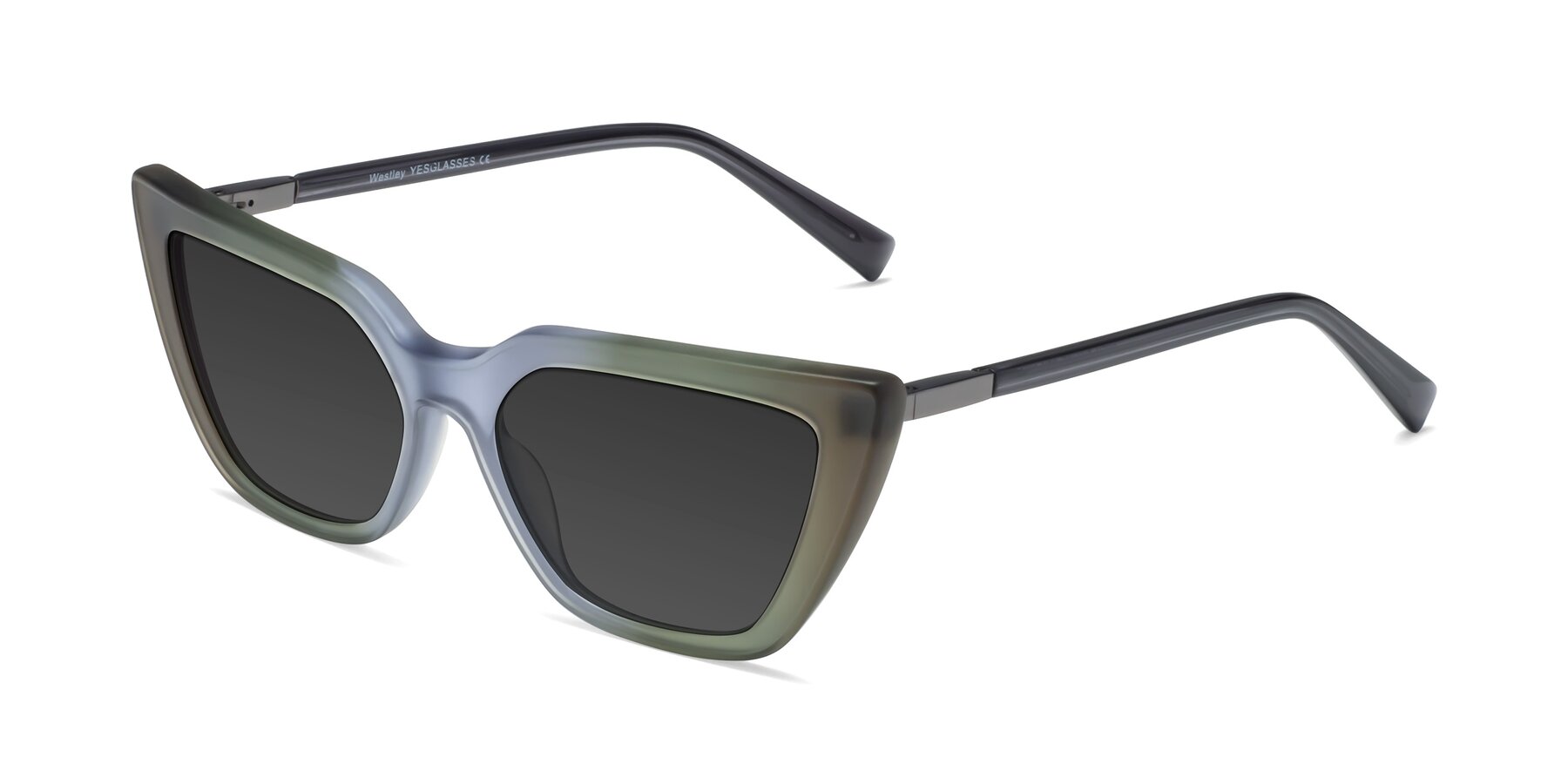 Angle of Westley in Gradient Green with Gray Tinted Lenses