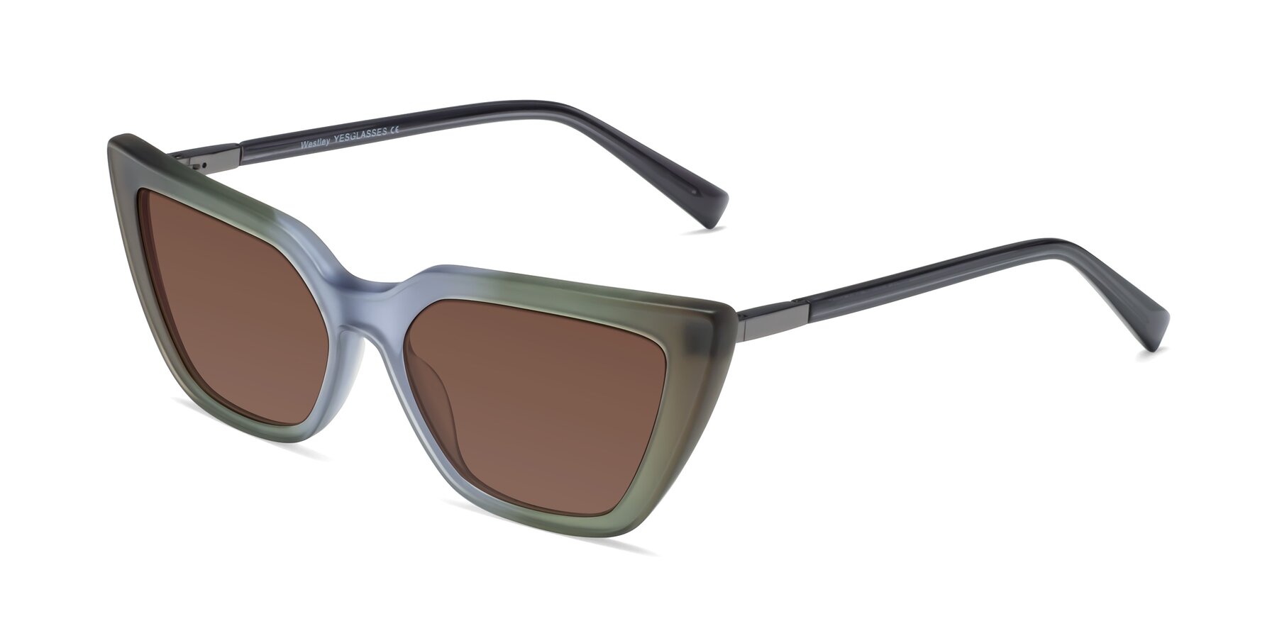 Angle of Westley in Gradient Green with Brown Tinted Lenses