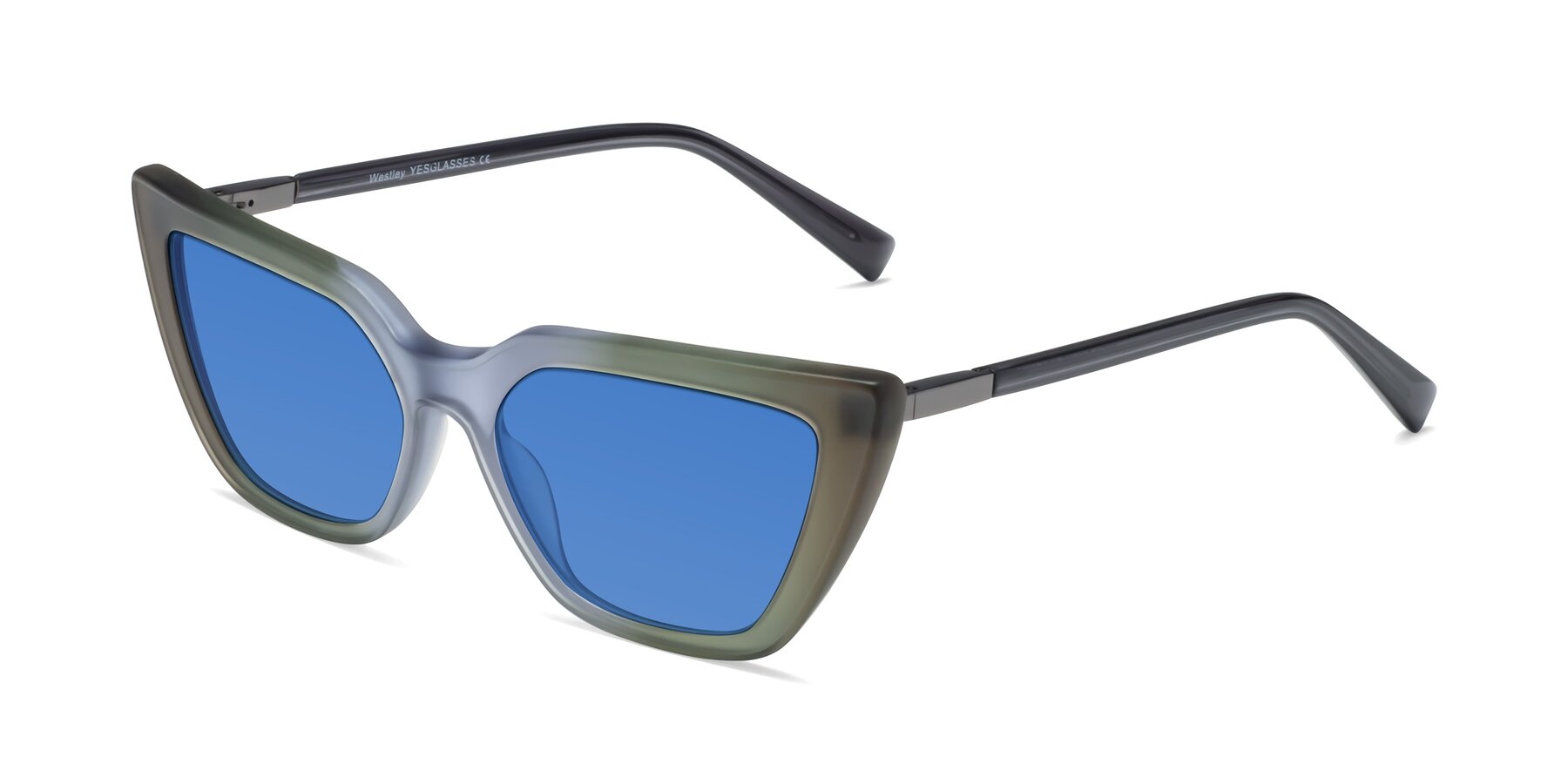 Angle of Westley in Gradient Green with Blue Tinted Lenses