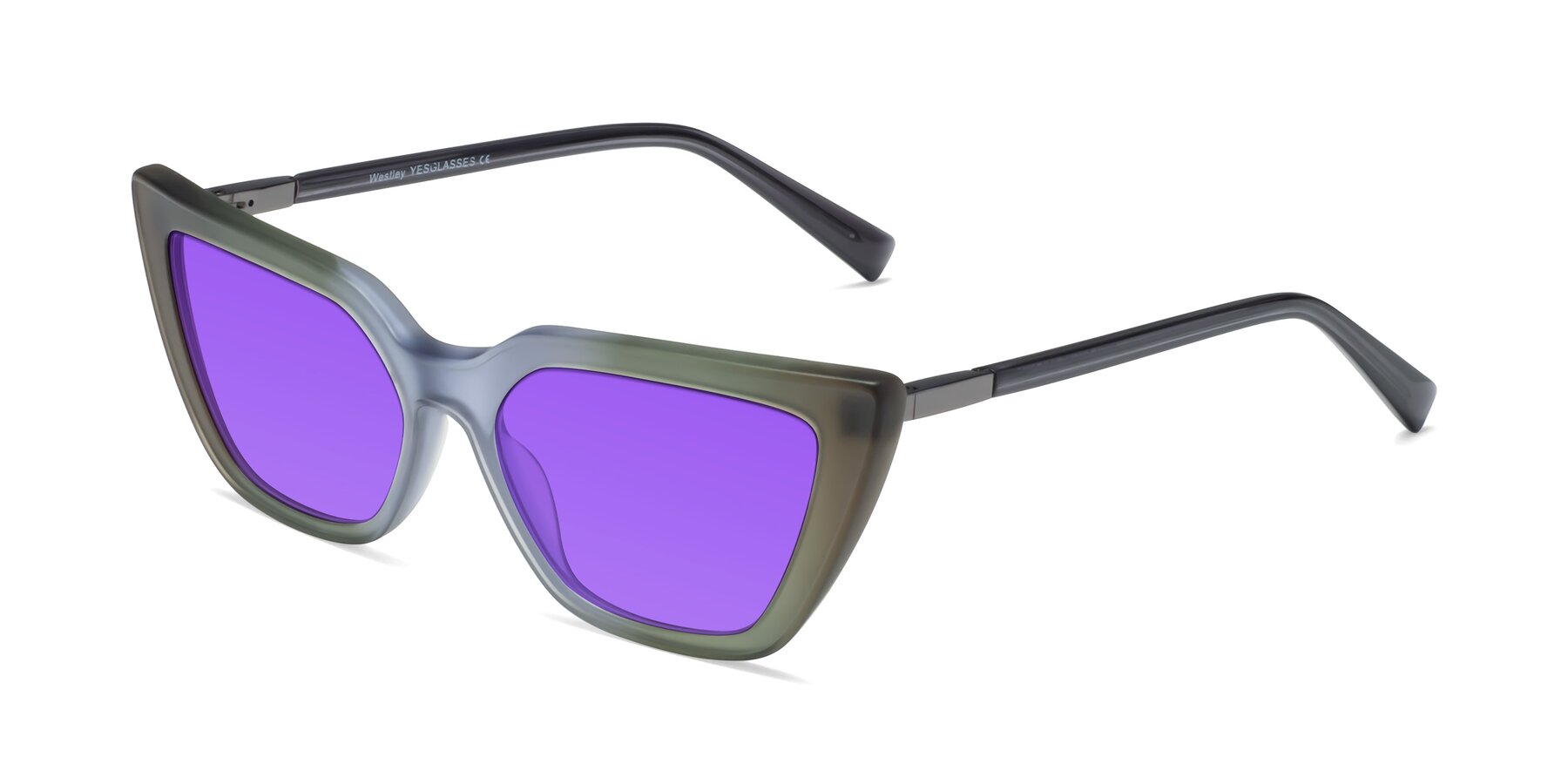 Angle of Westley in Gradient Green with Purple Tinted Lenses
