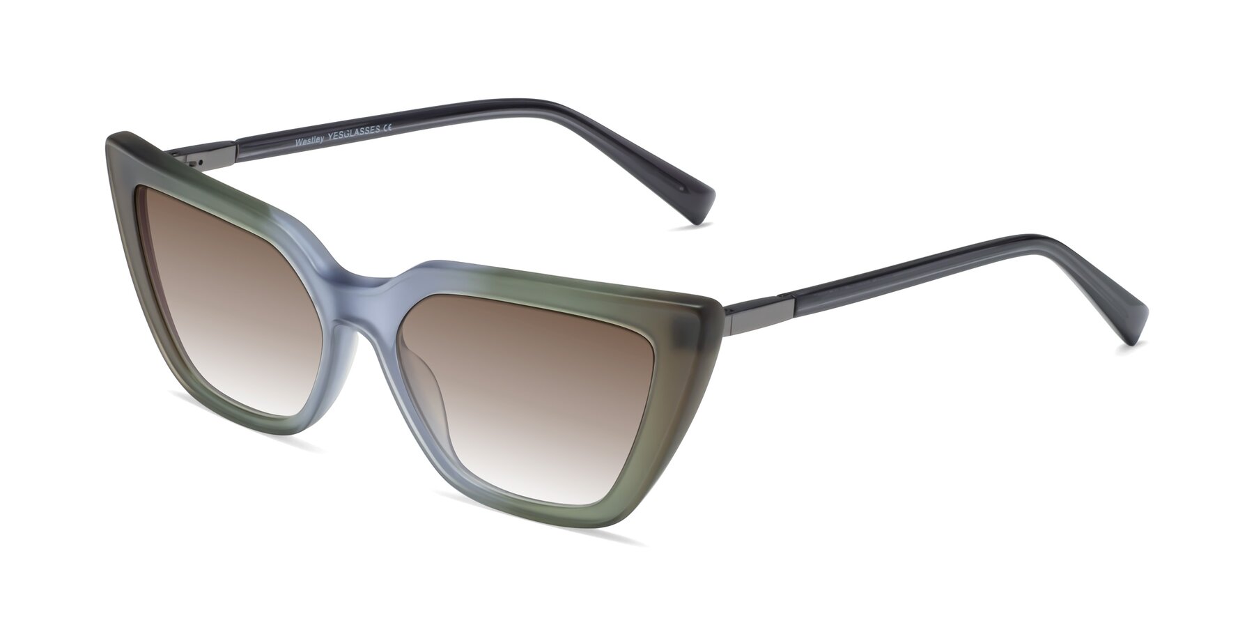 Angle of Westley in Gradient Green with Brown Gradient Lenses