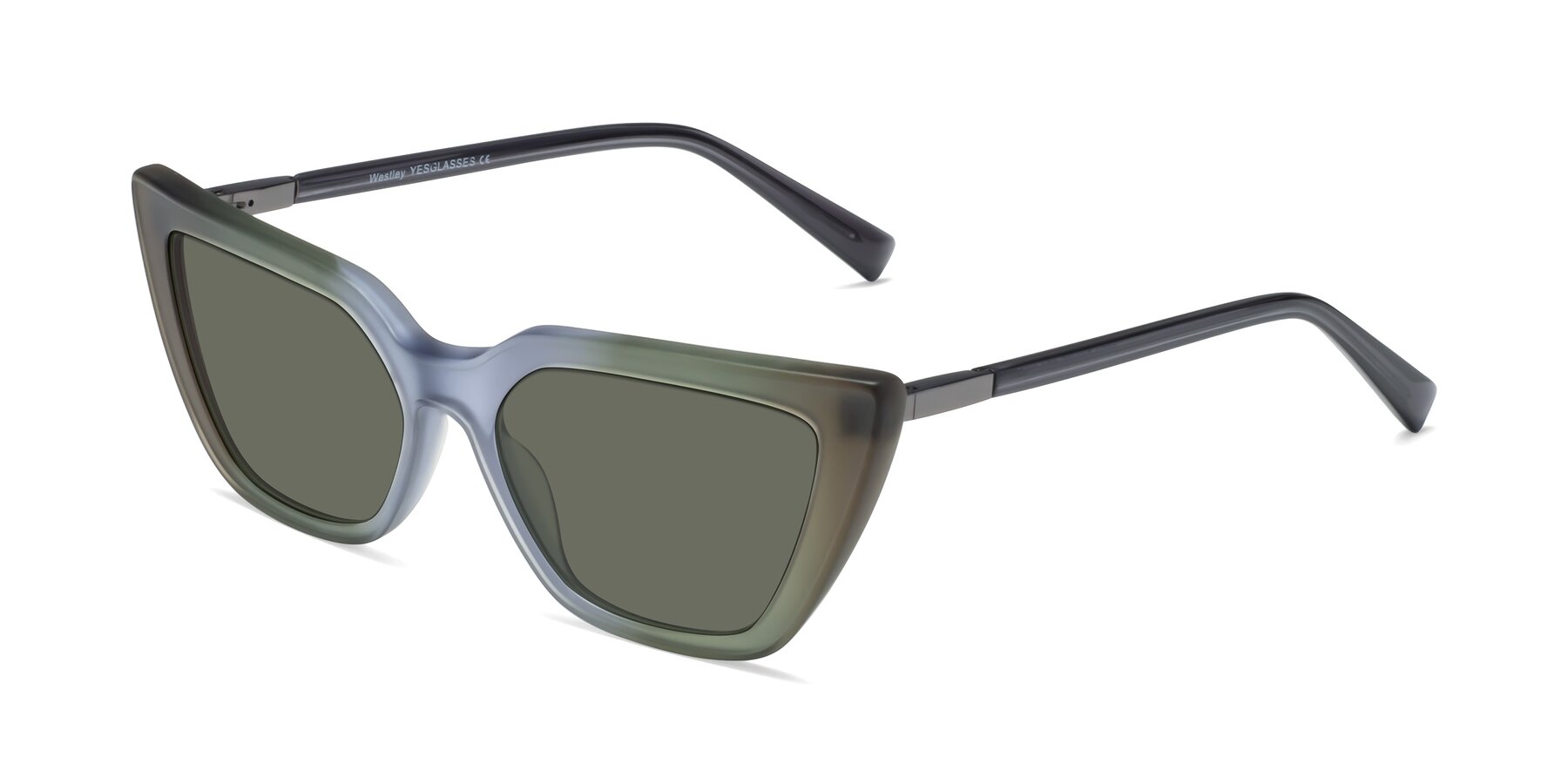 Angle of Westley in Gradient Green with Gray Polarized Lenses