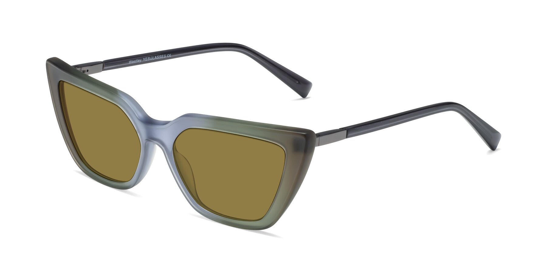 Angle of Westley in Gradient Green with Brown Polarized Lenses