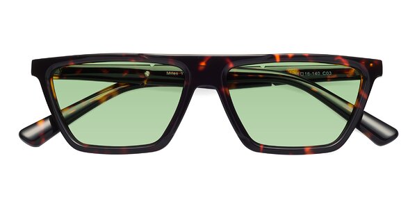 Front of Miles in Tortoise