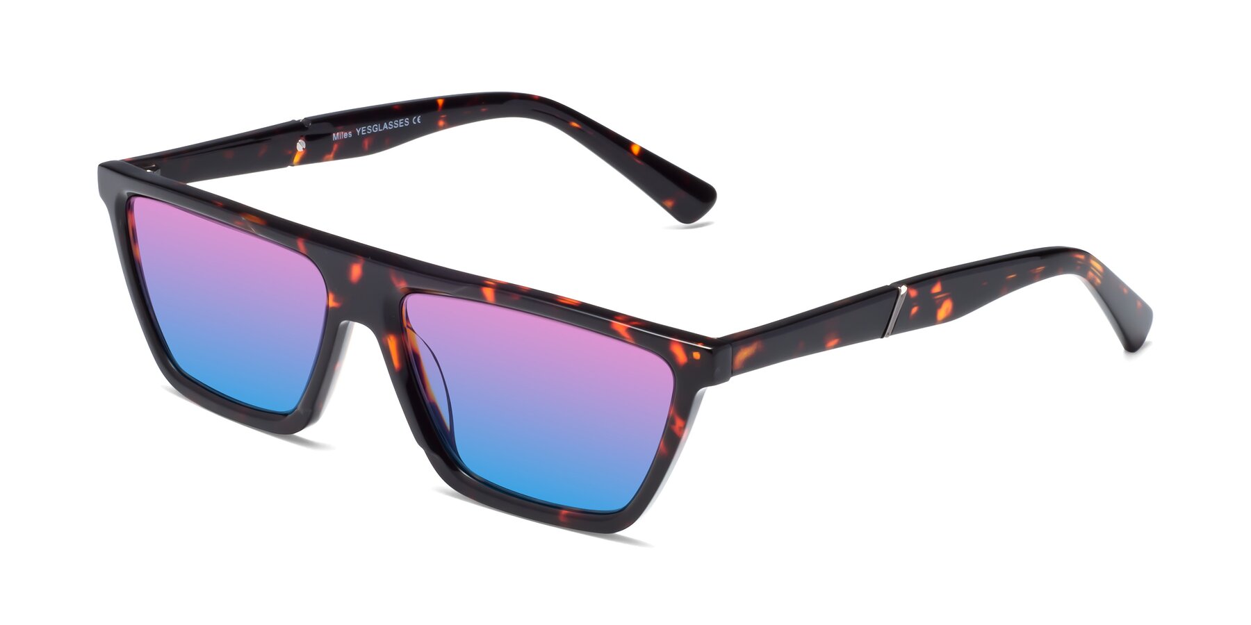 Angle of Miles in Tortoise with Pink / Blue Gradient Lenses