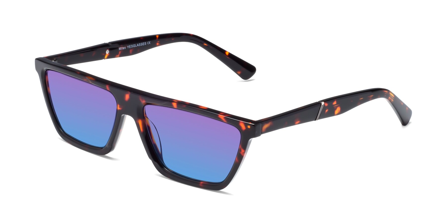 Angle of Miles in Tortoise with Purple / Blue Gradient Lenses