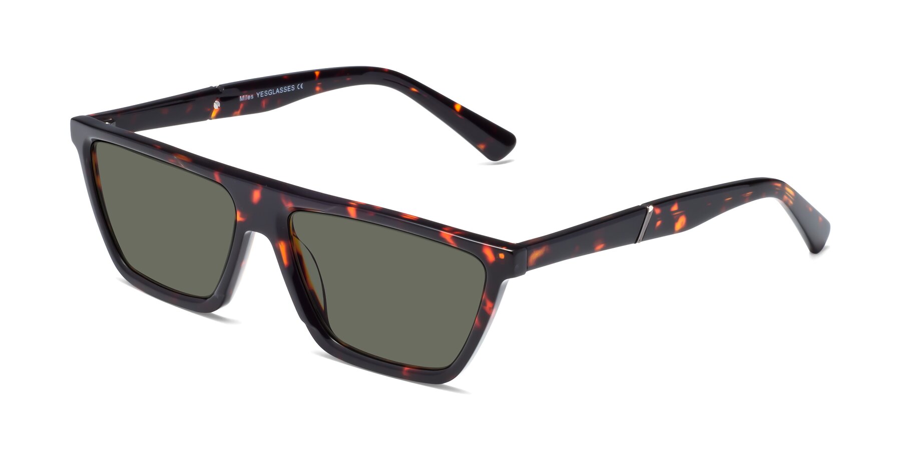 Angle of Miles in Tortoise with Gray Polarized Lenses