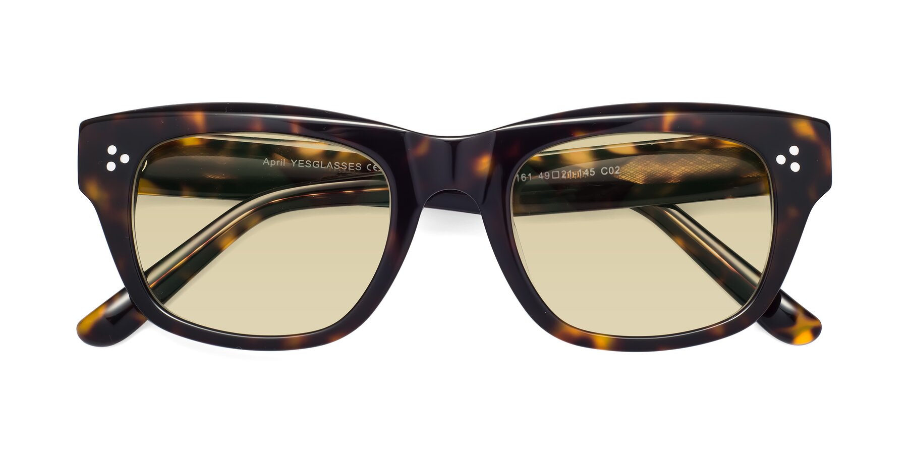 Folded Front of April in Tortoise with Light Champagne Tinted Lenses