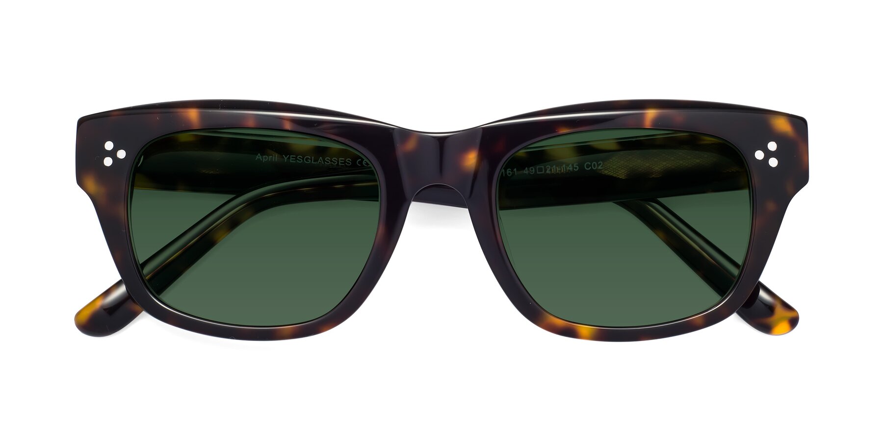 Folded Front of April in Tortoise with Green Tinted Lenses