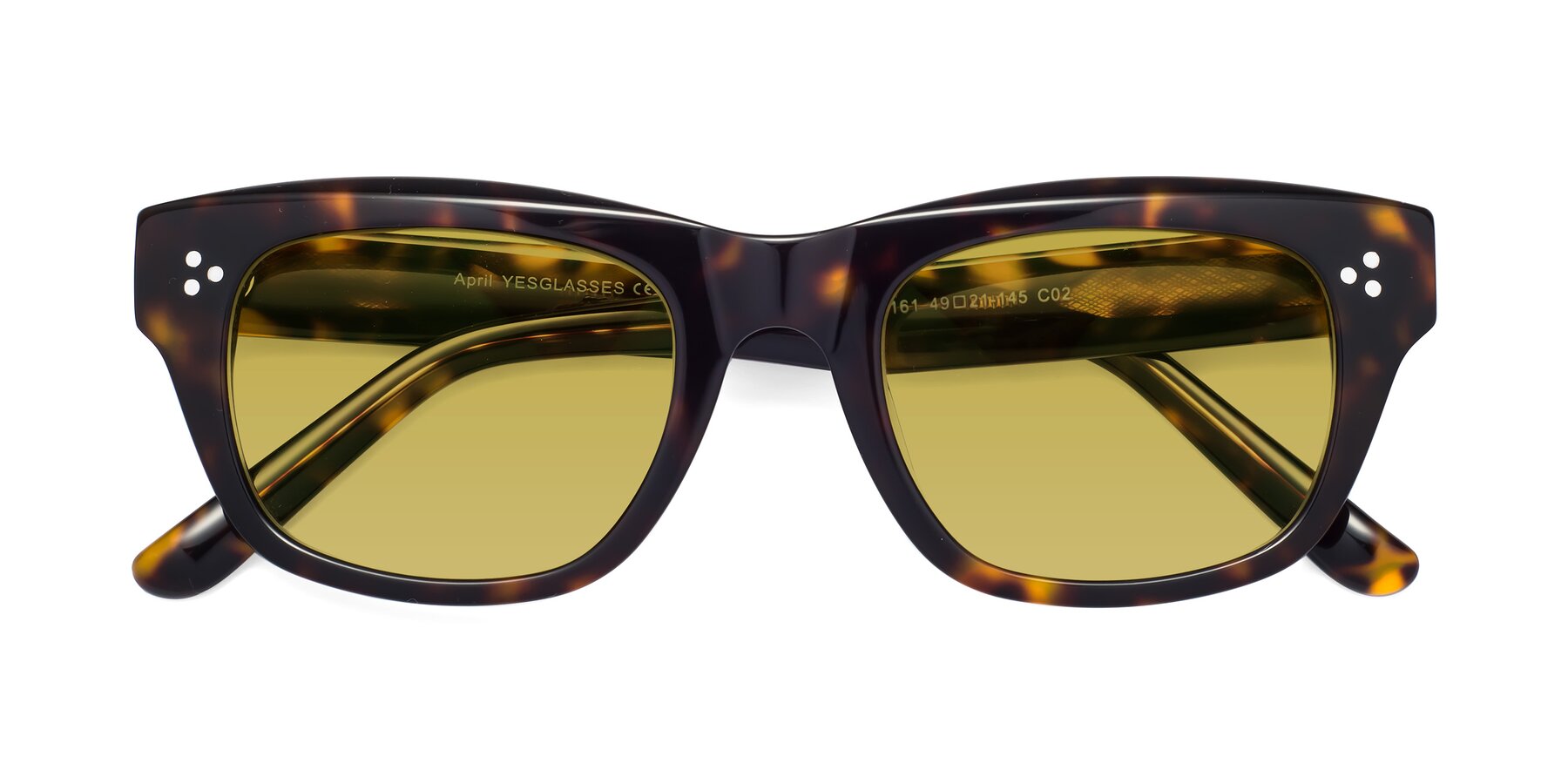 Folded Front of April in Tortoise with Champagne Tinted Lenses
