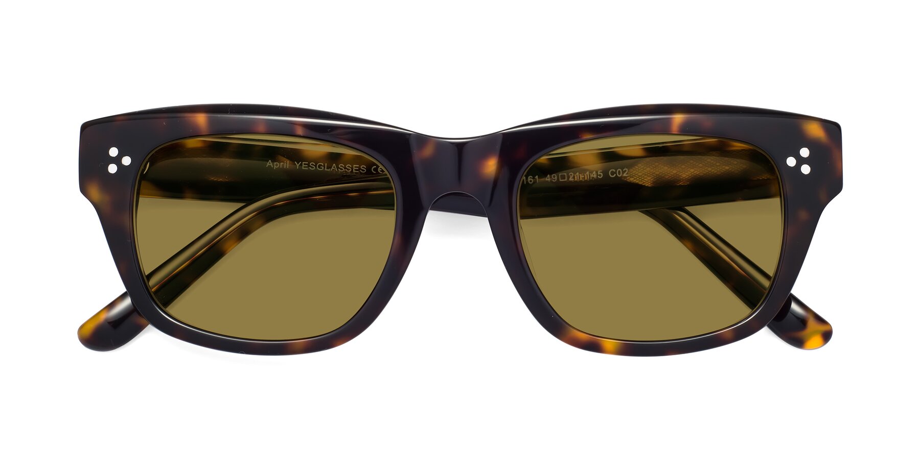 Folded Front of April in Tortoise with Brown Polarized Lenses