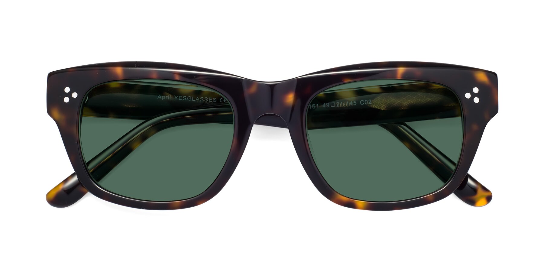 Folded Front of April in Tortoise with Green Polarized Lenses