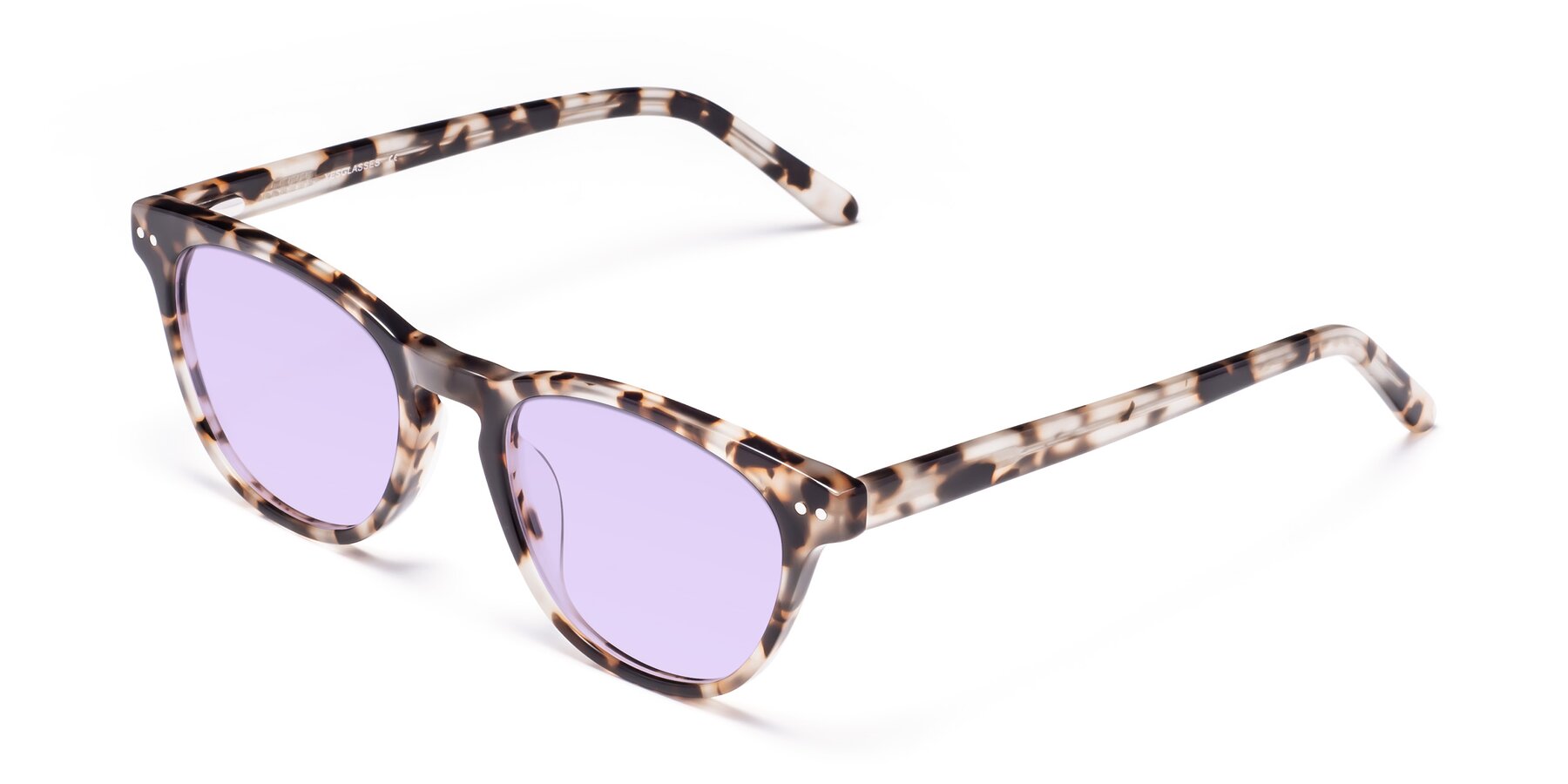 Angle of Blaze in Tortoise with Light Purple Tinted Lenses
