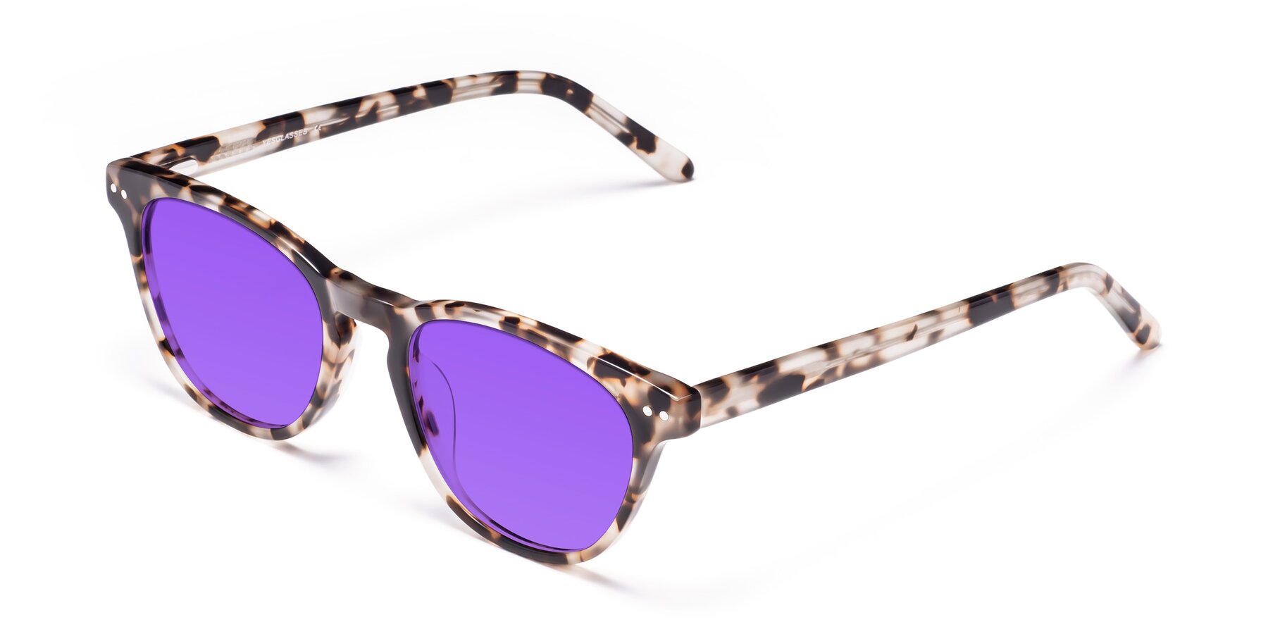 Angle of Blaze in Tortoise with Purple Tinted Lenses