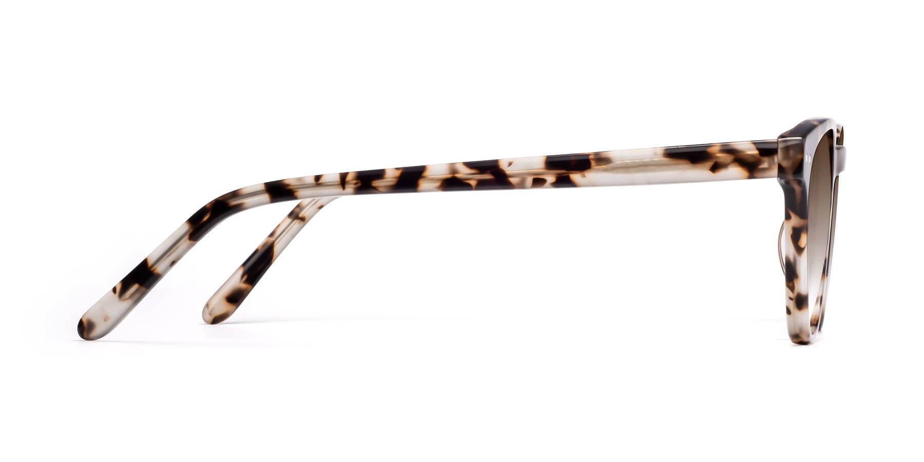 Side of Blaze in Tortoise with Brown Gradient Lenses