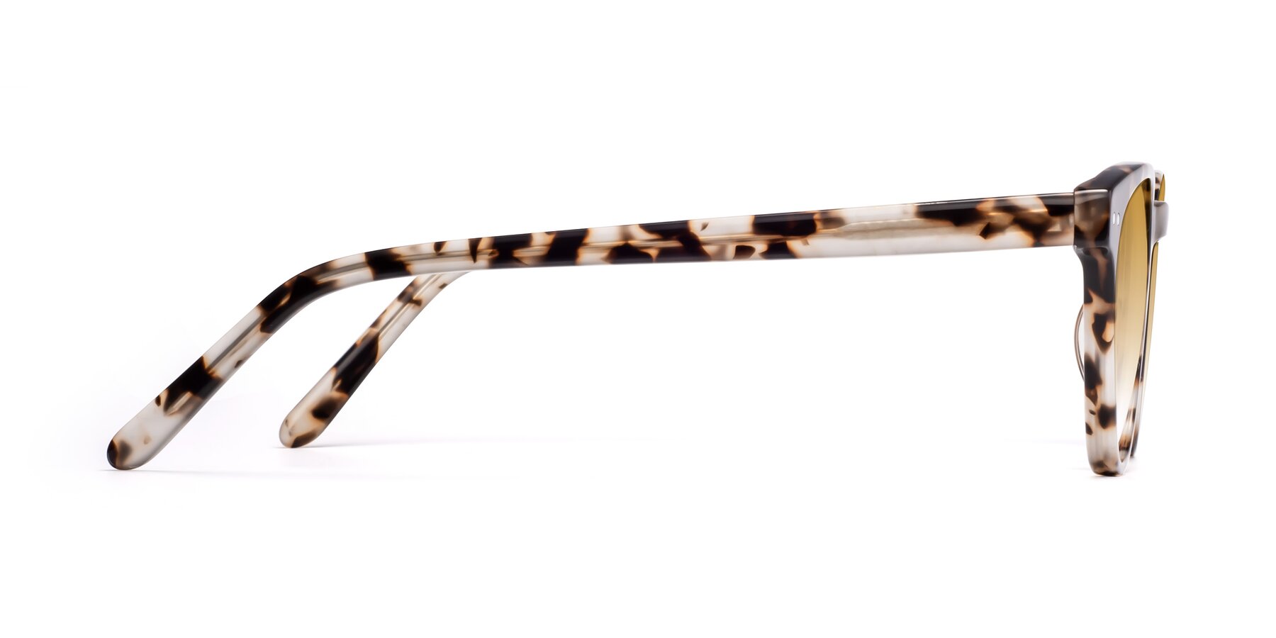 Side of Blaze in Tortoise with Champagne Gradient Lenses