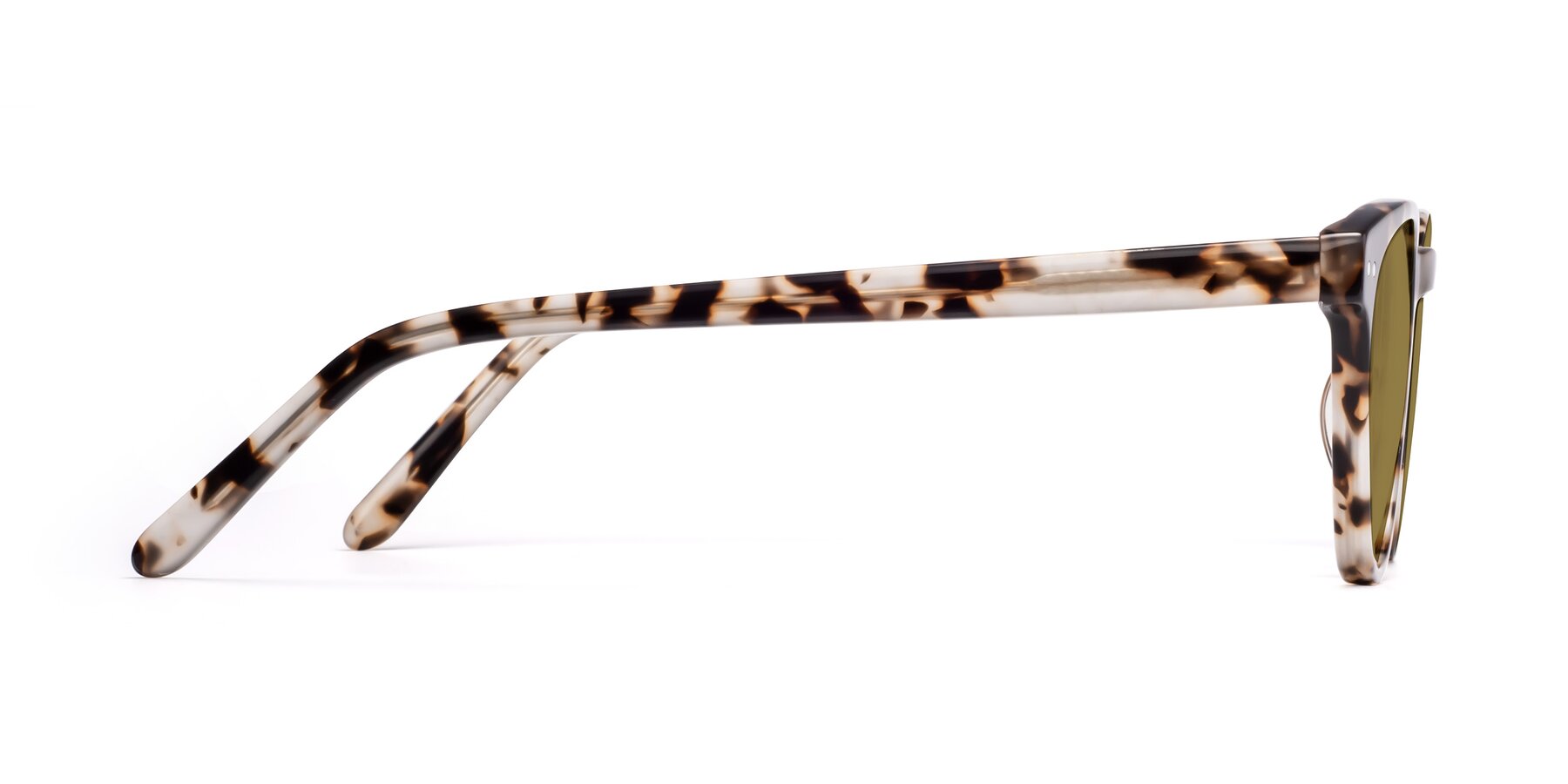 Side of Blaze in Tortoise with Brown Polarized Lenses