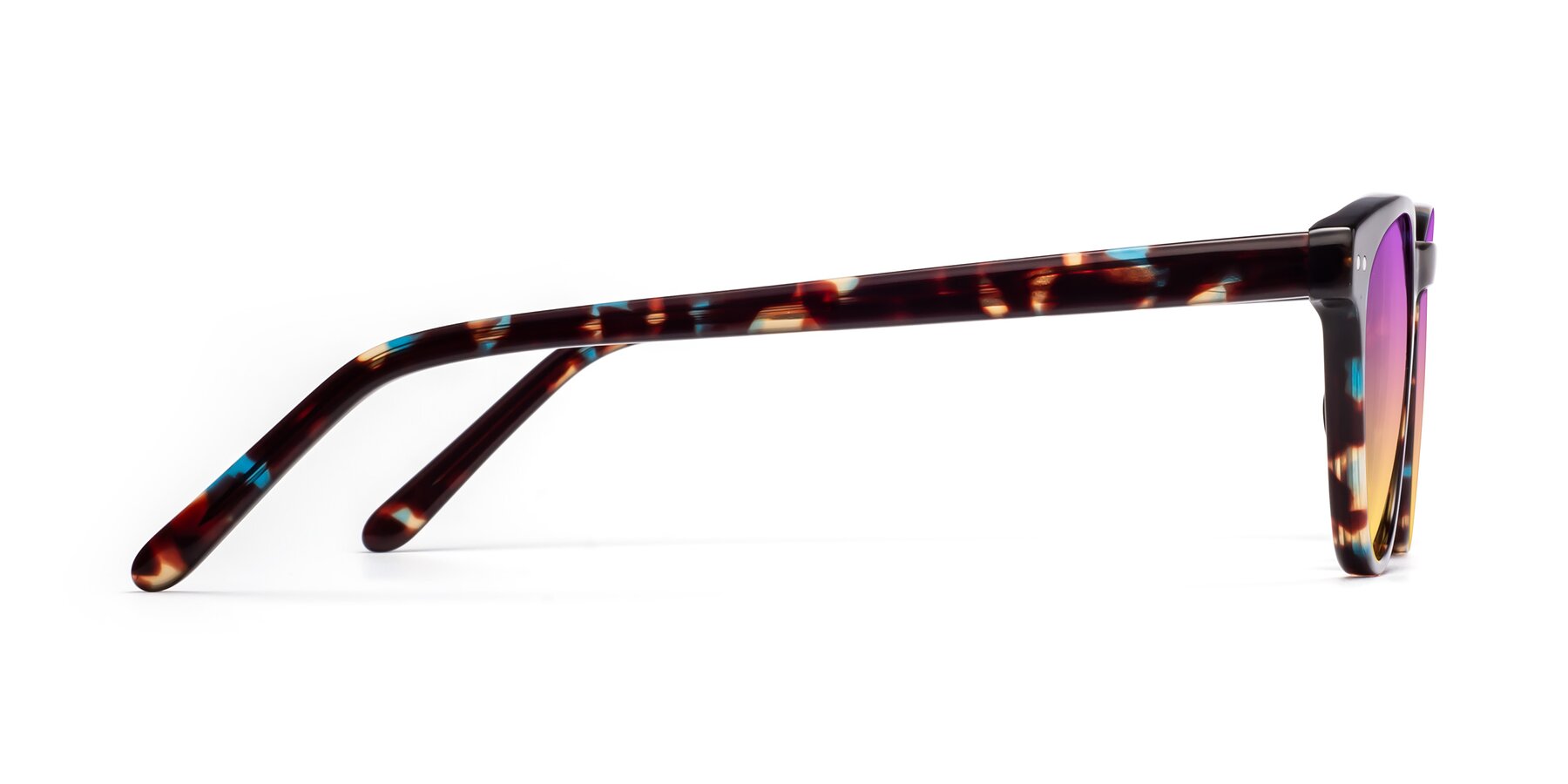 Side of Blaze in Tortoise-Blue with Purple / Yellow Gradient Lenses