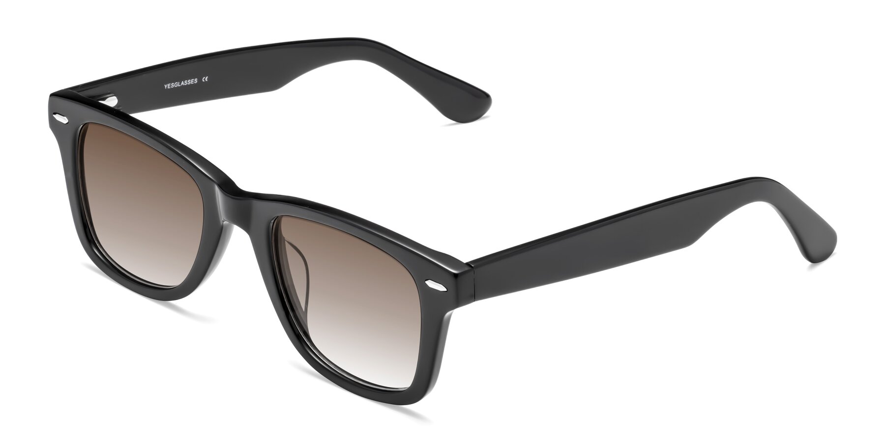Angle of Rocky in Black with Brown Gradient Lenses
