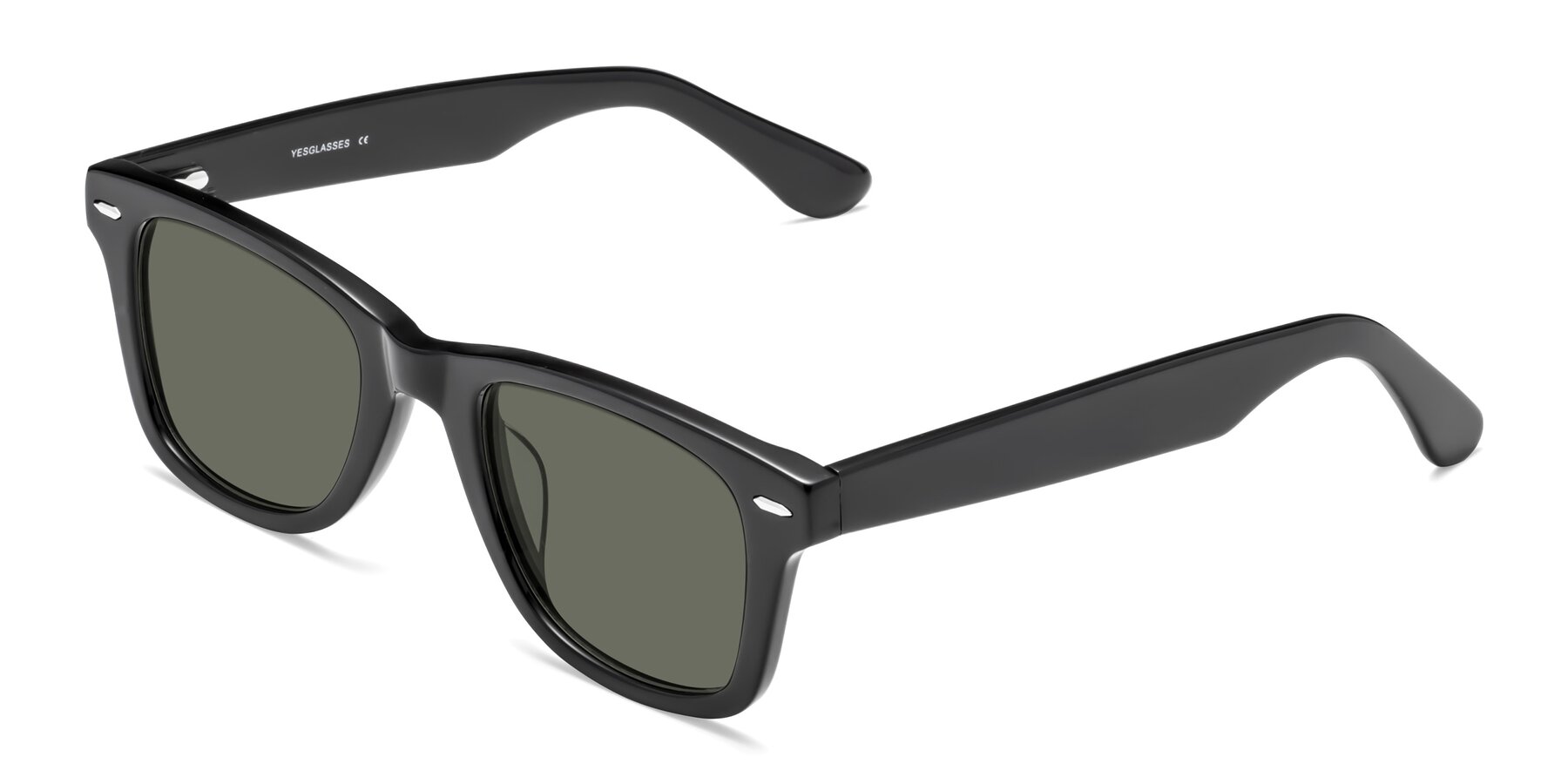 Angle of Rocky in Black with Gray Polarized Lenses