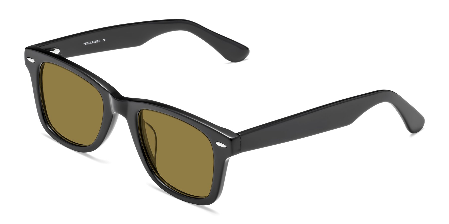 Angle of Rocky in Black with Brown Polarized Lenses